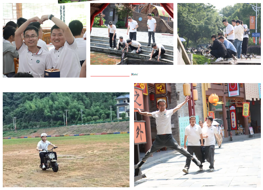 1717847693662084021.png 1717847693662084021.png