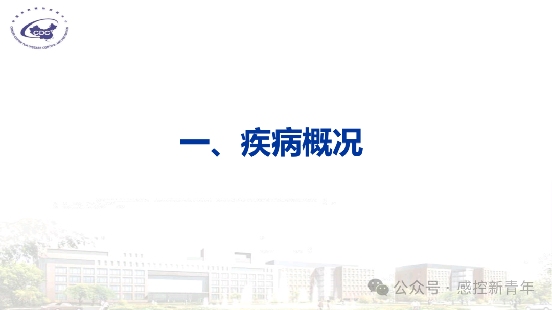 1754039167298062674.png 43fb9ed135cd7a13fc0c9679bb6fb2a0.png