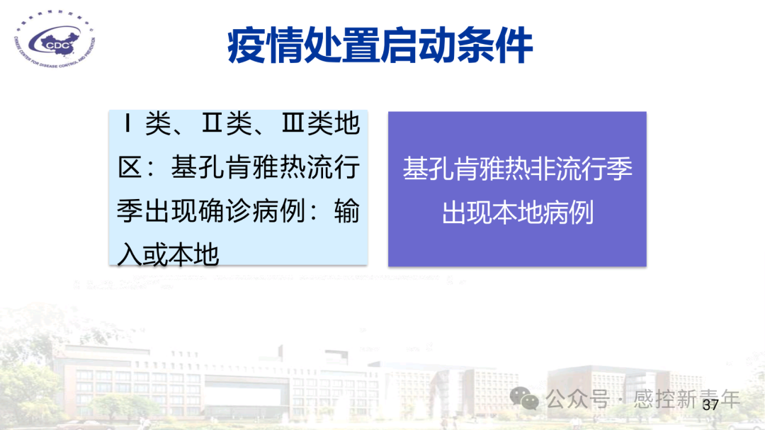 1754039360566086835.png 70977d754b78906a53bc3d988d936824.png